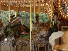 Wildlife Carousel